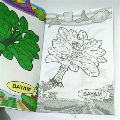 mewarnai daun bayam