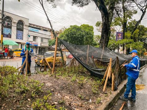 Falta De Cultura Ciudadana Un Mal Que Afecta A Ibagu Ibagu Limpia