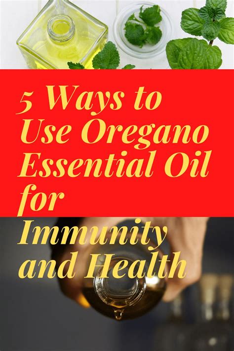 5 Best Oregano Essential Oil Uses Benefits Of Oregano Oil