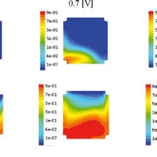 Mass Fraction Of Hydrogen Distributions At The Electrolyte On The Anode