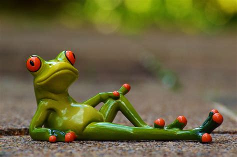 Funny Frog Wallpapers - Top Free Funny Frog Backgrounds - WallpaperAccess