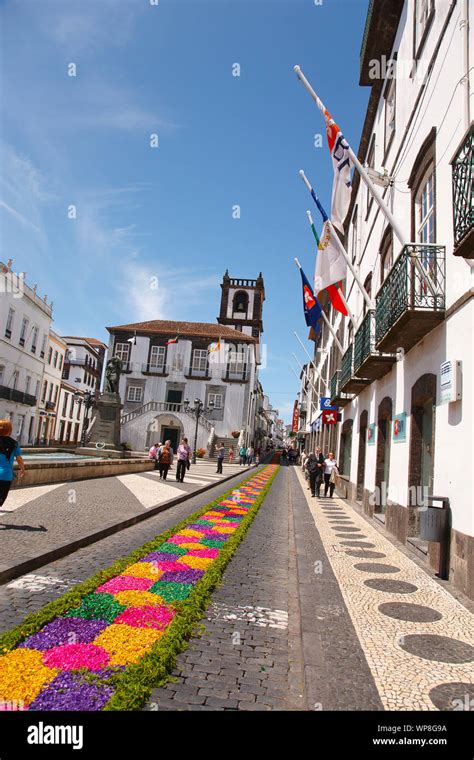 Downtown Of Portuguese City Ponta Delgada With Flower Carpet During