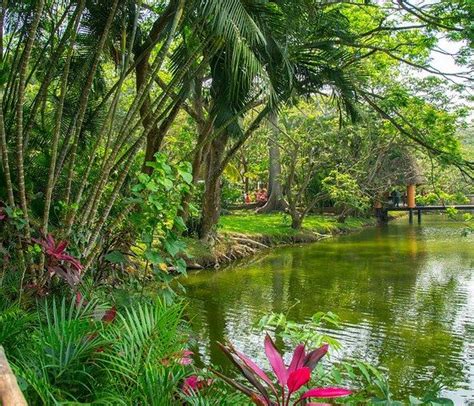 Recorrido Por El Parque Ecológico Yumka El Souvenir