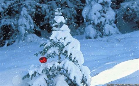 Winter Snow Scenes Wallpapers Group (92+)