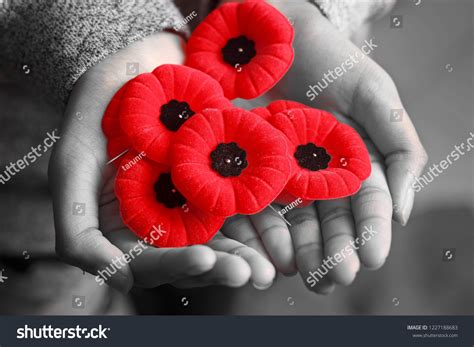 19,218 Remembrance day poppy Images, Stock Photos & Vectors | Shutterstock