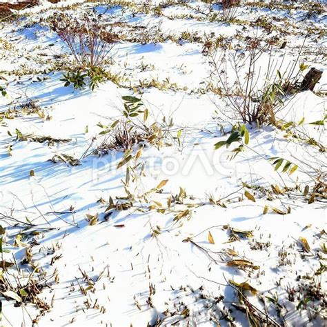 原っぱに積もった雪 No 1696389｜写真素材なら「写真ac」無料（フリー）ダウンロードok