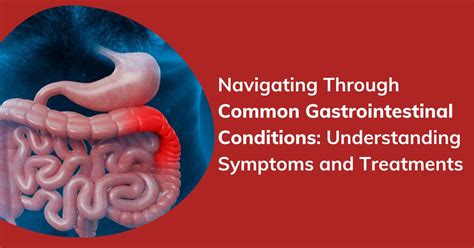 Navigating Through Common Gastrointestinal Conditions