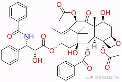 载紫杉醇D α 生育酚聚乙二醇1000琥珀酸酯 纳米粒包裹紫杉醇的肝素纳米粒的制备 知乎