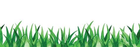 Watercolor Drawing Seamless Border With Green Grass Cute Meadow