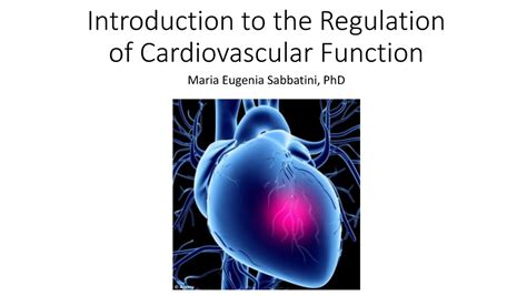 Introduction To The Regulation Of Cardiovascular Function Fall 2023