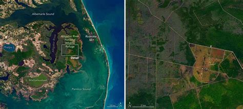 Climate Change and the Expansion of Ghost Forests - Geography Realm