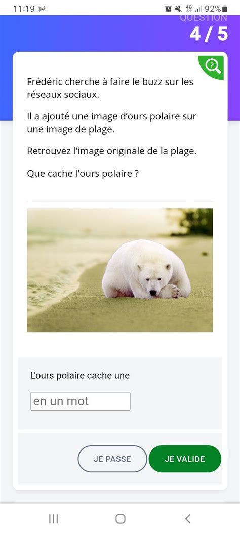 Épinglé par pauline sollier sur truc Ours polaire Image plage Ours