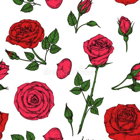 Red Roses Seamless Pattern Vector Background Stock Illustrations