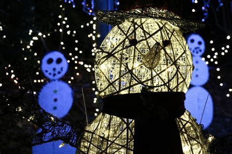 Roger Williams Park Zoo to Transform into Sparkling Winter Wonderland ...