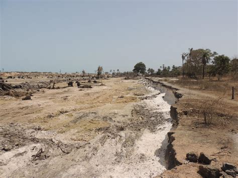 People's Coast, The Gambia - Ecosystem Restoration Communities