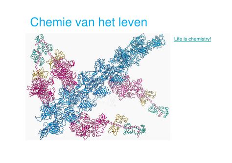 1 Biochemie Introductie Tot De Basisbegrippen Chemie Van Het Leven