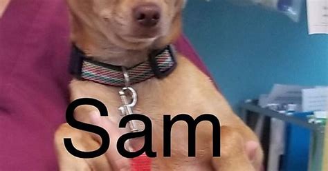 Sam Album On Imgur