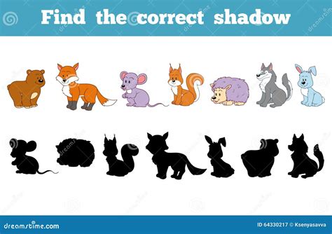 Find the Correct Shadow (forest Animals) Stock Vector - Illustration of ...