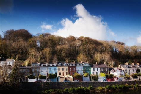 Фото Корка (85 фото)