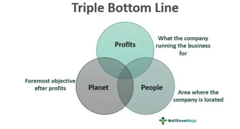 Triple Bottom Line Definition Example And Sustainability