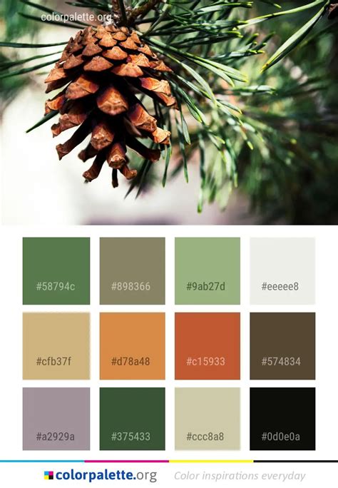 Pine Family Conifer Cone Color Palette | colorpalette.org