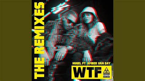 Wtf Feat Amber Van Day Amine Edge And Dance Remix Youtube