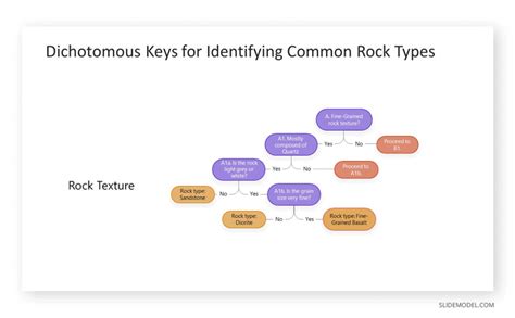 02 Geological Dichotomous Keys Example SlideModel