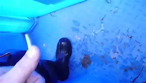 Rallig Im Bus Free Gay Amateur Hd Porn Video A Xhamster