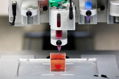 PICS Israeli Scientists Unveil World S First 3D Printed Heart News18