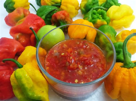 Quick And Easy Trinidad Lime Pepper Sauce — Anitas Circadian