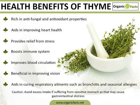 Thyme Benefits - DRS. LILA & SAMUEL FLAGLER