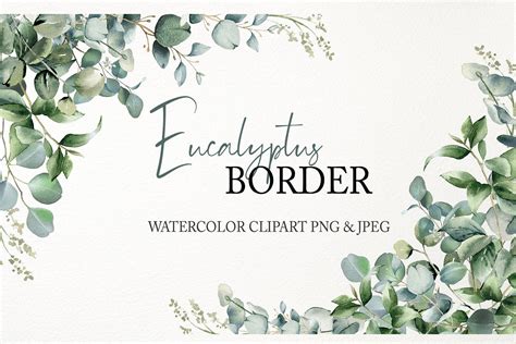 Frame, border made of green leaves eucalyptus isolated on white - Clip ...