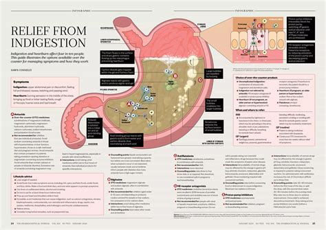 How Do Antacids Treat Indigestion at Conrad Williams blog