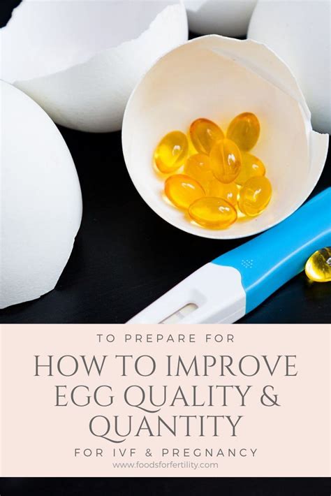 How To Improve Egg Quality For Ivf And Pregnancy Artofit