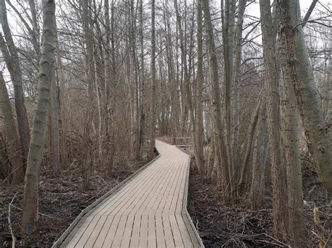 Unterwegs am Tegeler Fließ – Eichwerder Moorwiesen Runde von Mühlenbeck