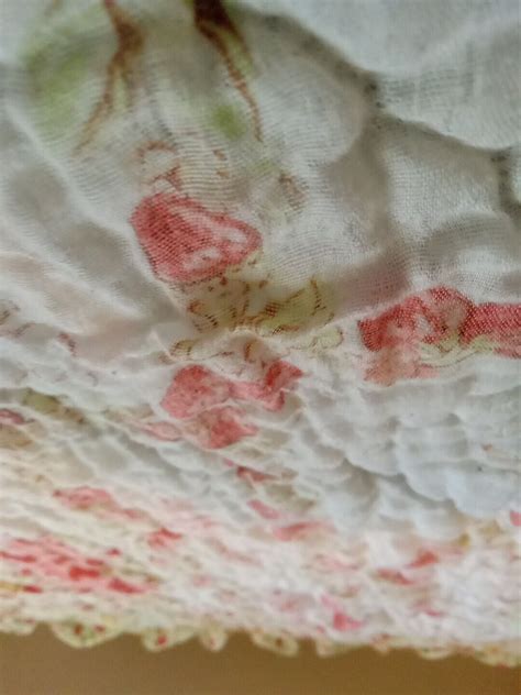 Vintage Strawberry Shortcake Twin Size Ruffle Comforter Bedspread JC