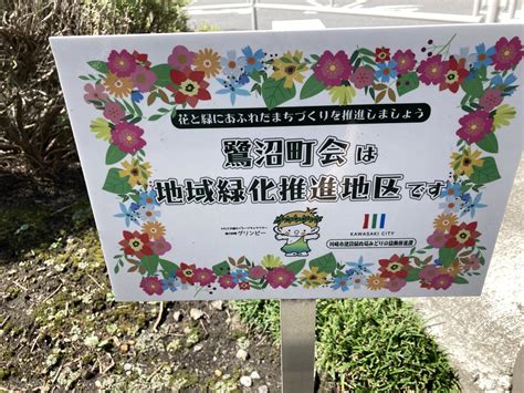 【川崎市宮前区】国道246号線からも見える綺麗なお花。鷺沼町内のガーデニングクラブのお花に癒される。 号外net 川崎市宮前区