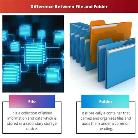 File Vs Folder Difference And Comparison