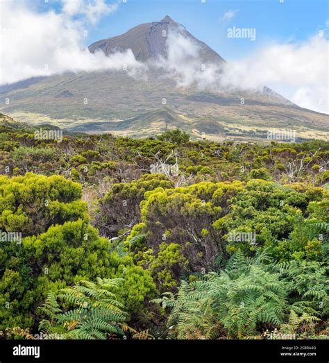 volcano mount pico  pico island azores stock photo alamy