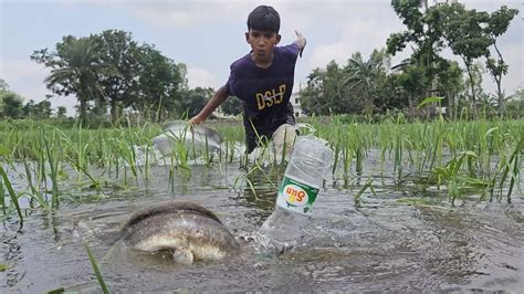 Plastic Bottle Fish Trap Village Boy Catching Fish Using Plastic