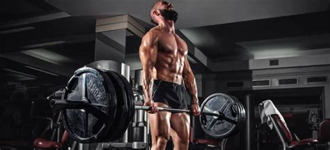 The Ultimate Beginners Guide To Powerlifting With A Free Training Plan