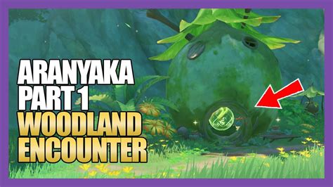 Guide Aranyaka Part Woodland Encounter Sumeru World Quests