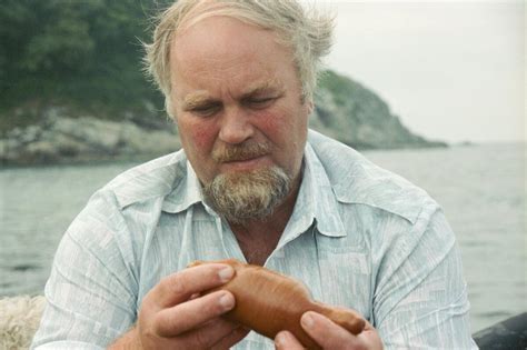 Кукумария: самый странный морепродукт, который можно съесть (ФОТО ...