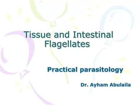 Ppt Tissue And Intestinal Flagellates Powerpoint Presentation Free Download Id9684905