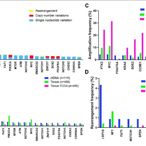 The Most Frequent Genomic Alterations Identified In Circulating Tumor