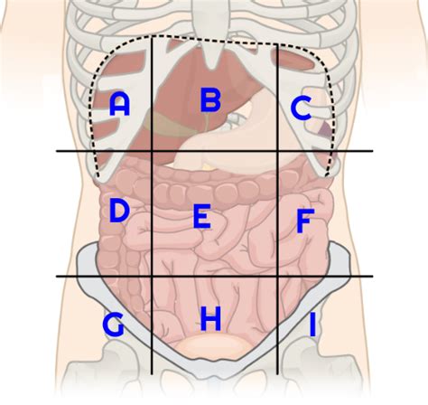 Directional Statements And Term Practice Flashcards Quizlet