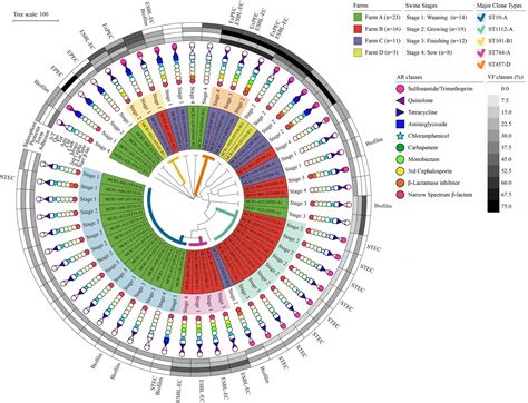 Frontiers Prevalence Characteristics And Clonal Distribution Of