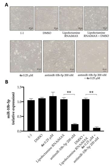 Ijms Free Full Text Synergistic Effects Of A Combined Treatment Of