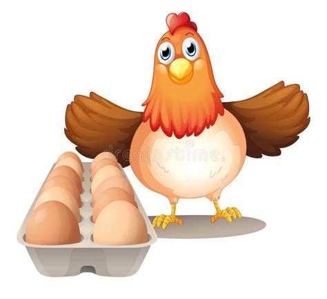 Una Gallina Con Los Huevos En La Bandeja Ilustración Del Vector