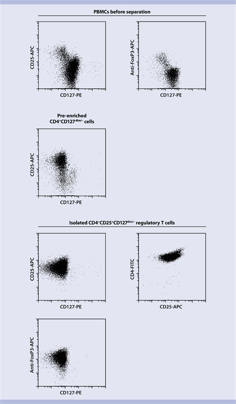 Regulatory T Cells Human Miltenyi Biotec 日本